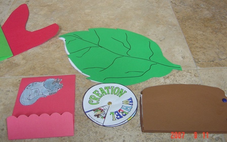 Toads and Amphibians Unit Study and Lapbook